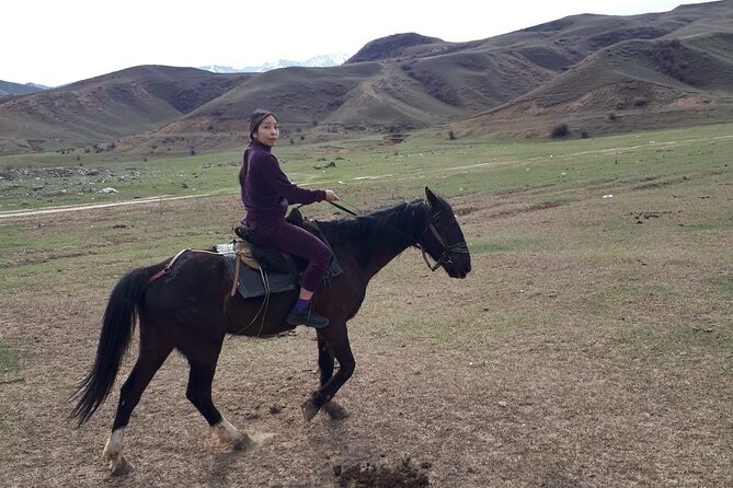 Horseback Riding Tour - A closer look at the staff and instruction