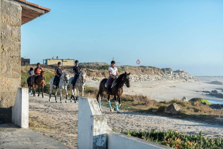 Horseback Riding Tour - What to wear and what not to bring