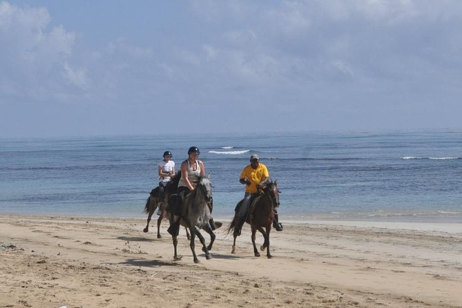 Horseback Riding Tour Adventure on the Beach - Guides, safety, and the pace of the group