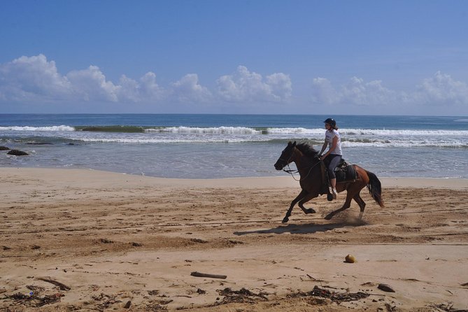 Horseback Riding Tour Adventure on the Beach - Is $99 a fair price?