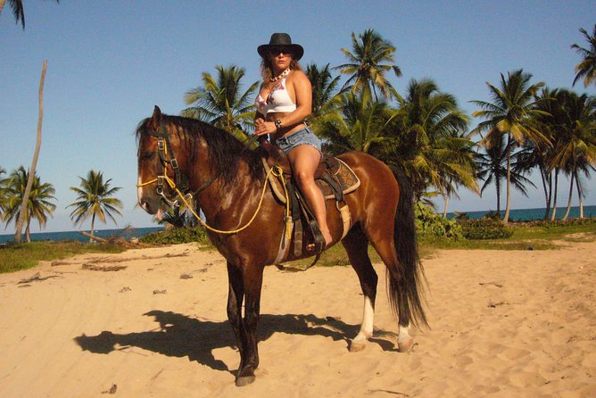 Horseback Riding Tour Adventure on the Beach - Who will enjoy this horseback ride most?