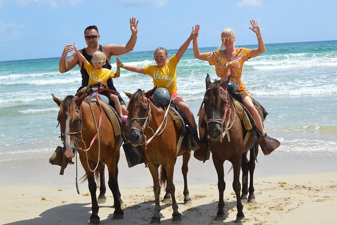Horseback Riding Tour Adventure on the Beach - Meeting your horse and learning the basics