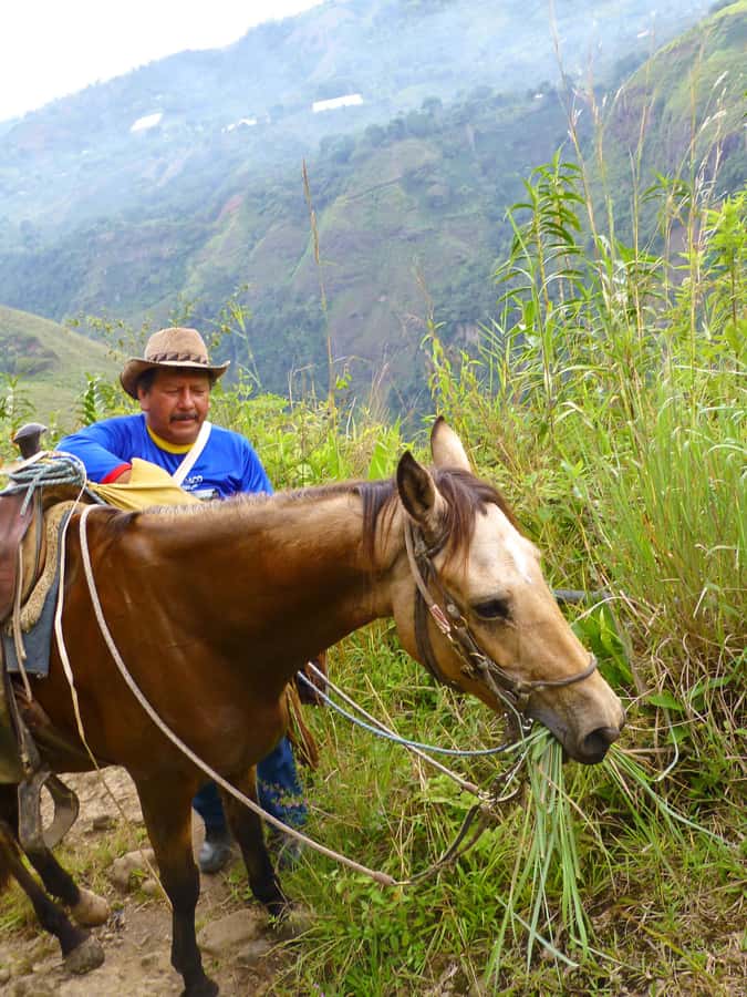 Horseback Riding Tour and visit to Tablón, Chaquira, Pelota - Key points to know before you book