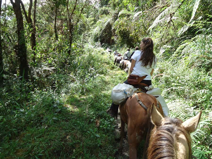 Horseback Riding Tour and visit to Tablón, Chaquira, Pelota - Why horseback riding fits San Agustín