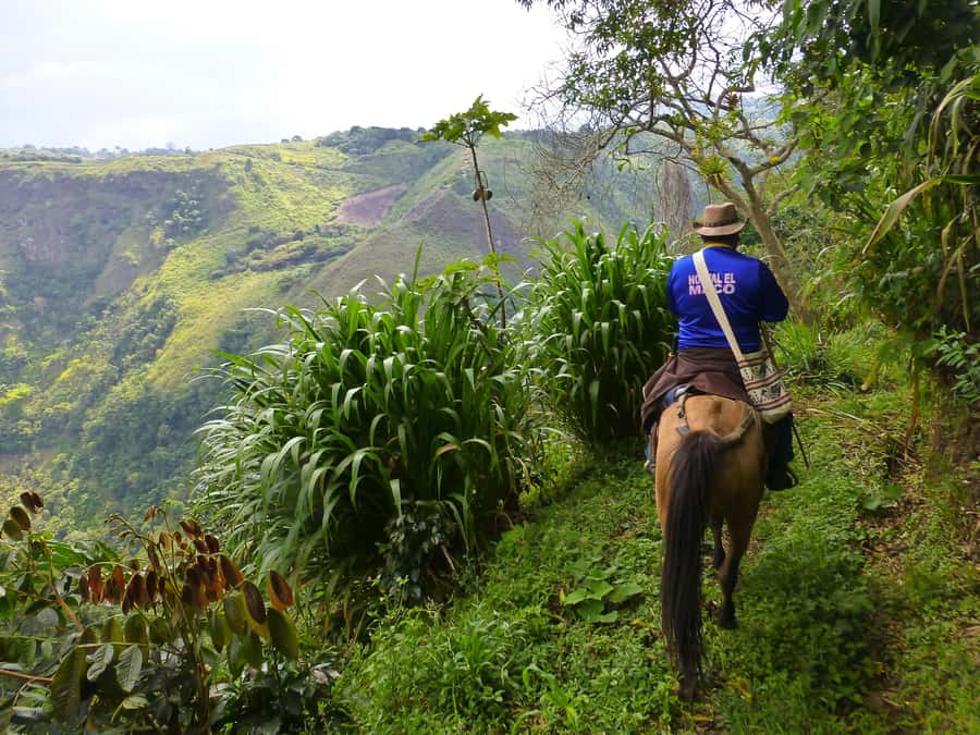 Horseback Riding Tour and visit to Tablón, Chaquira, Pelota - La Chaquira and its wide-open views