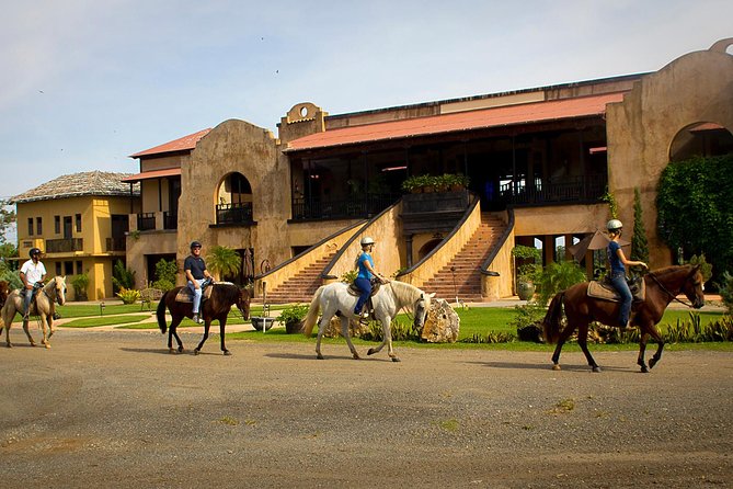 Horseback Riding Tour at Private Ranch - The hilltop Mojito Bar after the ride