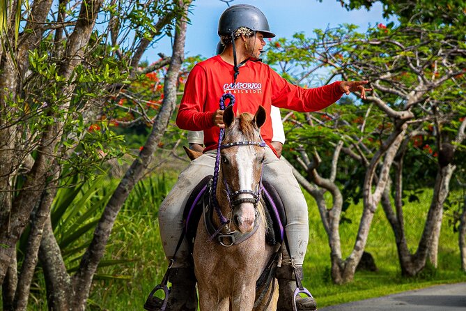 Horseback Riding Tour at Private Ranch - Arriving early and finding the ranch