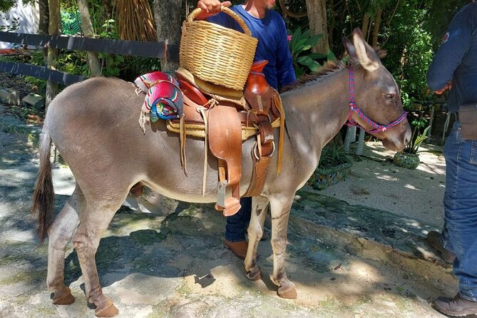 Horseback Riding Tour at Rancho Bonanza and Cenote Swim - Should you book Rancho Bonanza?