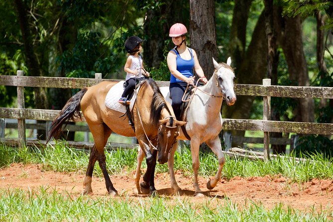 Horseback Riding Tour in Bohemian Switzerland - The Tisa walls and their sandstone passages