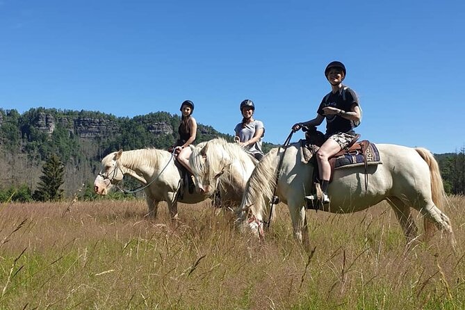 Horseback Riding Tour in Bohemian Switzerland - What the $300.38 price includes in practical terms