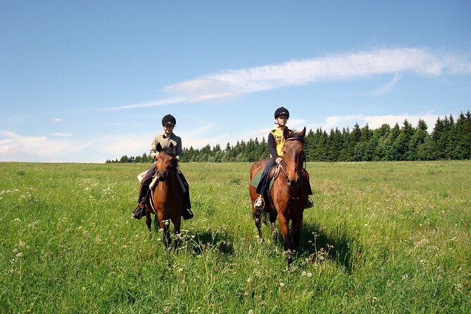 Horseback Riding Tour in Bohemian Switzerland - Four hours on horseback in Bohemian Switzerland