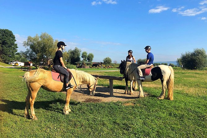 Horseback Riding Tour In Brasov - Ride Through Fields, Forests & Hills - Key points at a glance