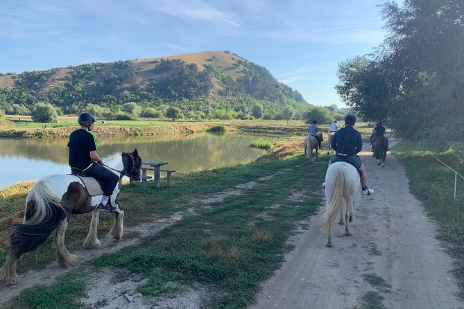 Horseback Riding Tour In Brasov - Ride Through Fields, Forests & Hills - One hour through fields, woods, and hills