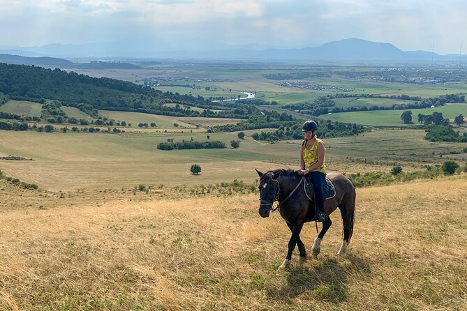Horseback Riding Tour In Brasov - Ride Through Fields, Forests & Hills - The important price detail: one hour in the saddle