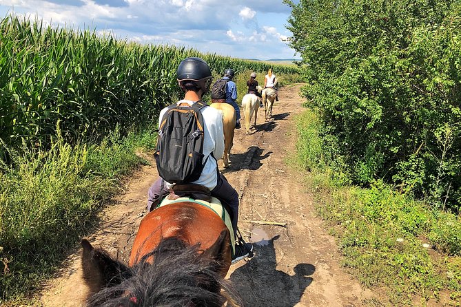 Horseback Riding Tour In Brasov - Ride Through Fields, Forests & Hills - Meeting Friesian and Andalusian horses