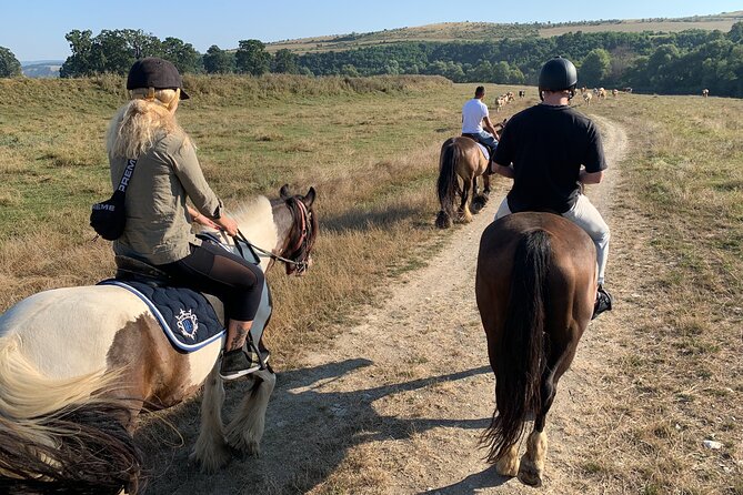 Horseback Riding Tour In Brasov - Ride Through Fields, Forests & Hills - How personal is the experience?