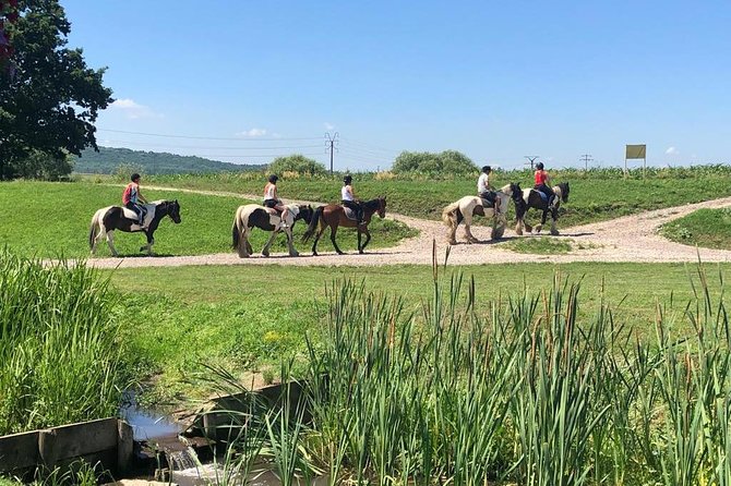 Horseback Riding Tour In Brasov - Ride Through Fields, Forests & Hills - Choosing the right horse at the ranch
