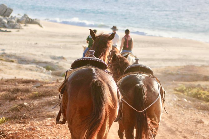 Horseback Riding Tour in Cabo San Lucas - From Cabo hotels to a Baja ranch