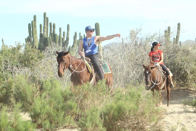 Horseback Riding Tour in Cabo San Lucas - How long are you really on horseback?