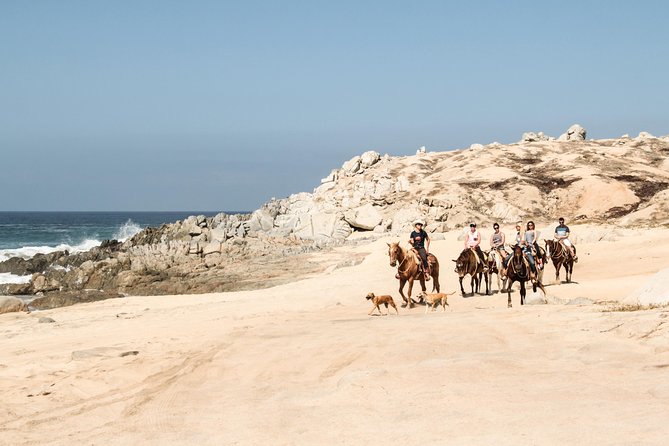 Horseback Riding Tour in Cabo San Lucas - Horses, tack, and safety