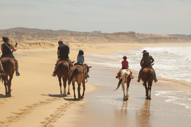 Horseback Riding Tour in Cabo San Lucas - Who will enjoy this Cabo horseback ride?