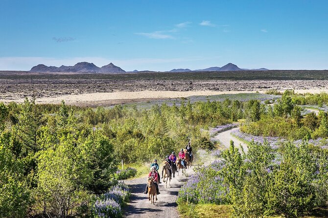 Horseback Riding Tour in Iceland - Riding through Iceland’s lava fields