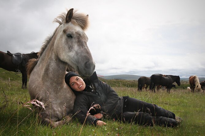 Horseback Riding Tour in Iceland - Who should book this ride?
