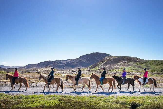 Horseback Riding Tour in Iceland - Meeting the Icelandic horse at Ishestar
