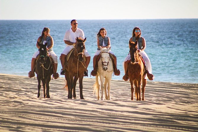 Horseback Riding Tour in Los Cabos - Horses, guides, and the human side of the ride