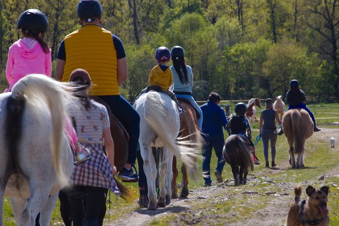 horseback riding tour in Prague - What experienced riders should know