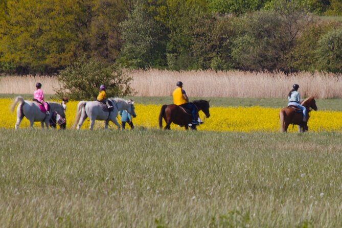 horseback riding tour in Prague - Meeting the horses before the ride