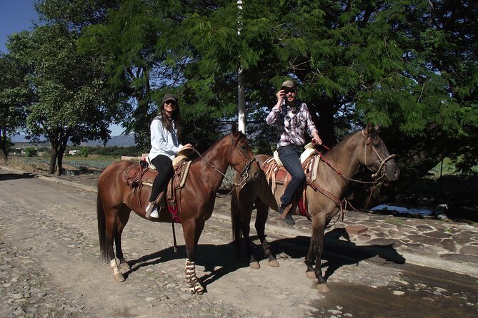 Horseback Riding Tour in The Agave Field with Lunch - From Guadalajara to the blue agave fields