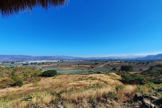 Horseback Riding Tour in The Agave Field with Lunch - Lunch at La Taberna del Cofrade
