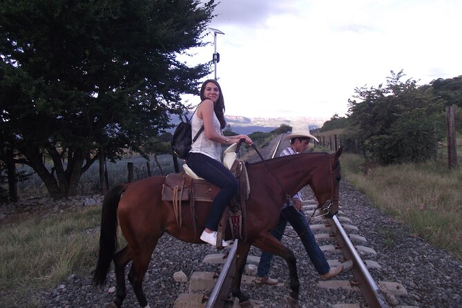 Horseback Riding Tour in The Agave Field with Lunch - Why Amatitán gives the tour its character