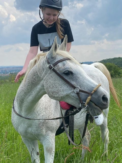 Horseback riding tour near Prague - Quick points before you book