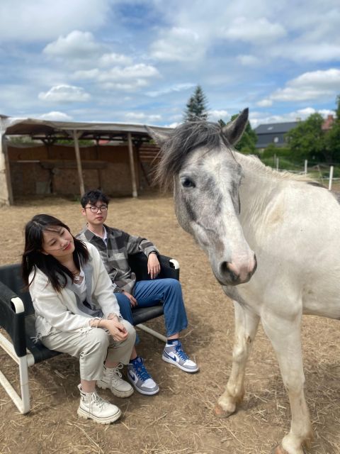 Horseback riding tour near Prague - What this ride near Prague is really like
