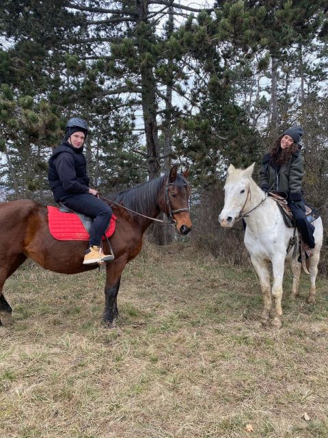 Horseback riding tour near Prague - A closer look at the horse welfare promises