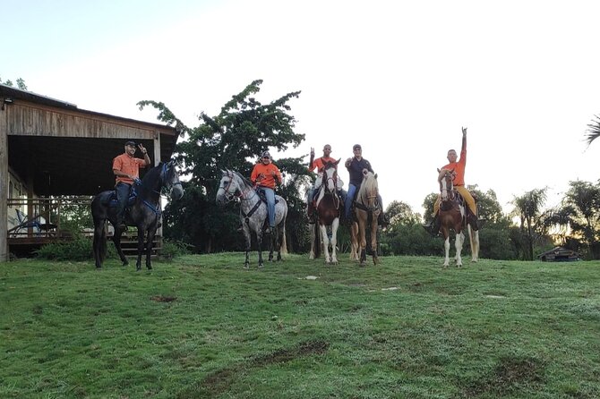 Horseback Riding tour near Santo Domingo with pick up and dropoff - Why the private format matters