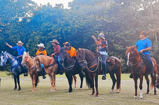 Horseback Riding tour near Santo Domingo with pick up and dropoff - Timing, comfort, and what to wear