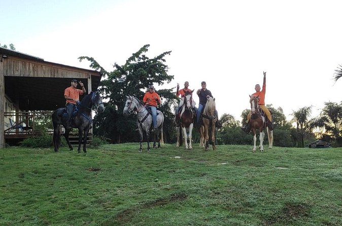 Horseback Riding tour near Santo Domingo with pick up and dropoff - Weather and cancellation rules