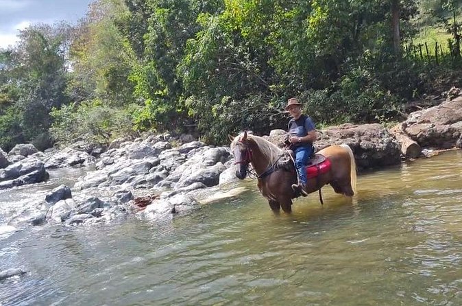 Horseback Riding tour near Santo Domingo with pick up and dropoff - Who will enjoy this ride most