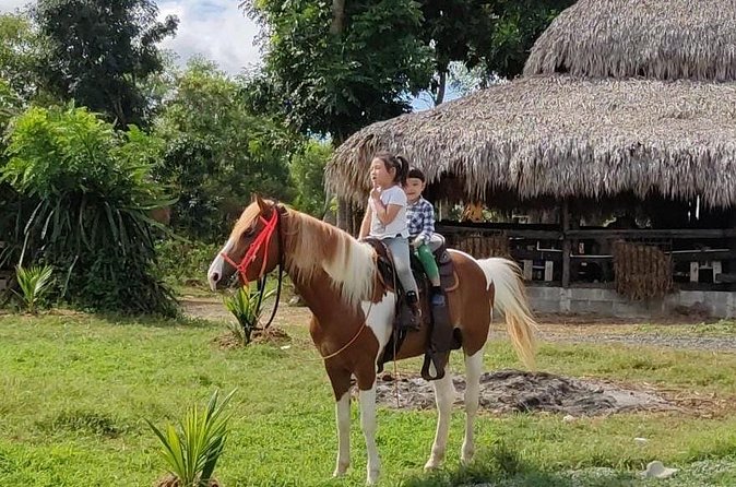 Horseback Riding tour near Santo Domingo with pick up and dropoff - A realistic look at the drawbacks
