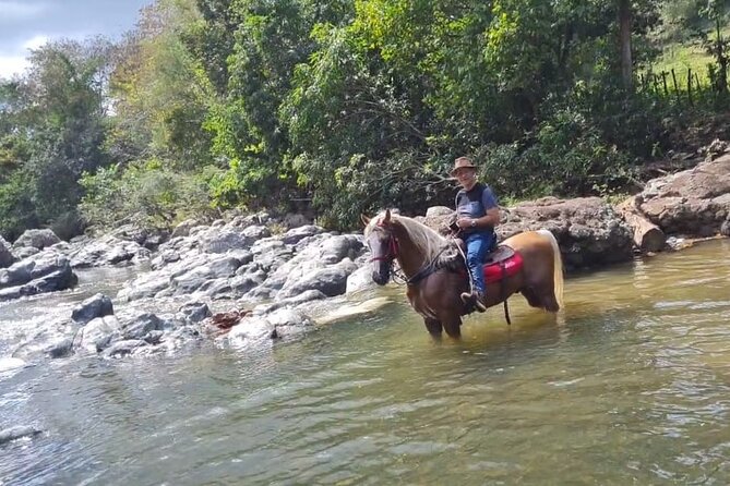 Horseback Riding tour near Santo Domingo with pick up and dropoff - Riding through countryside and rivers