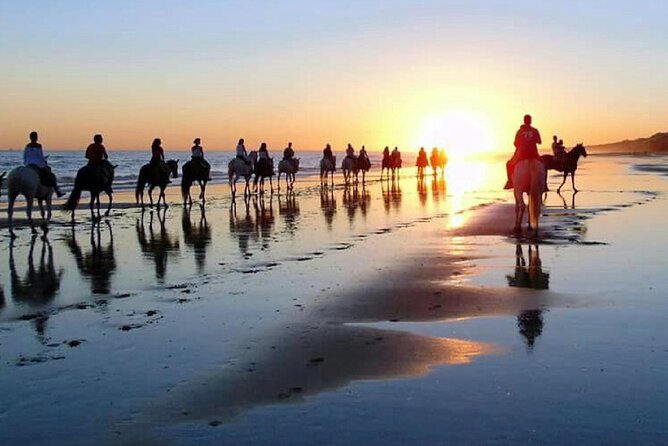 Horseback riding tour of Doñana and visit of El Rocio - Horses for First-Time Riders
