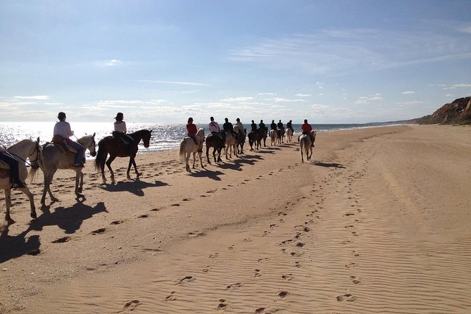 Horseback riding tour of Doñana and visit of El Rocio - How the $260.36 Price Measures Up