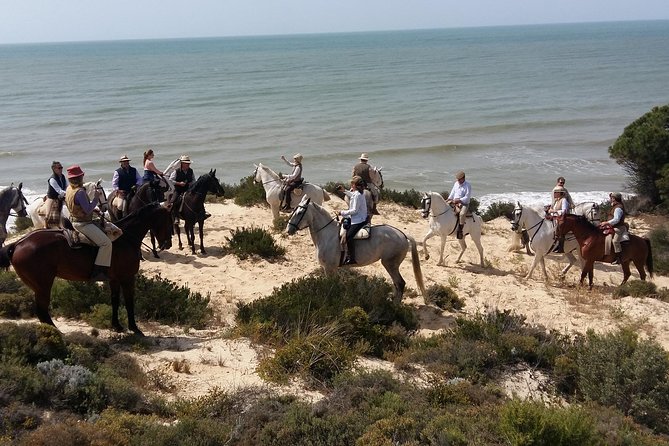 Horseback riding tour of Doñana and visit of El Rocio - Across the Dunes and Pine Forest