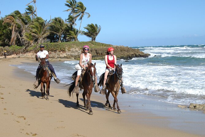 Horseback Riding Tour on the Beaches of Punta Cana - Horses, guides, and the human side of the tour