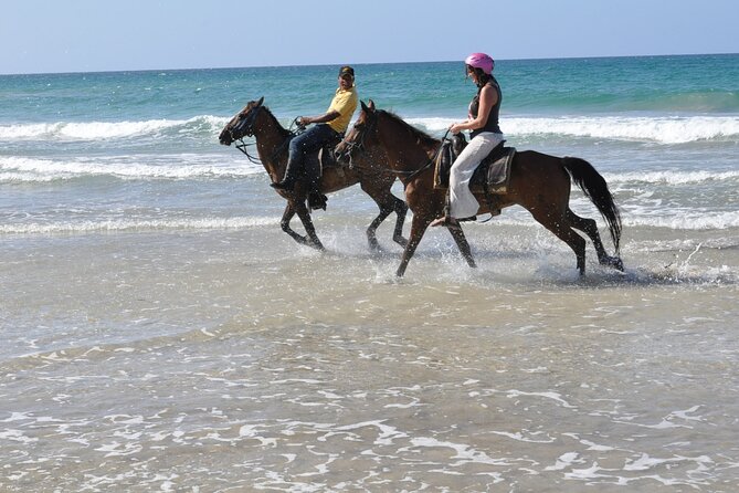 Horseback Riding Tour on the Beaches of Punta Cana - Pickup and the ride to the ranch