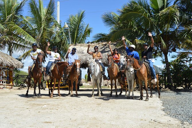 Horseback Riding Tour on the Beaches of Punta Cana - Who will enjoy this ride most