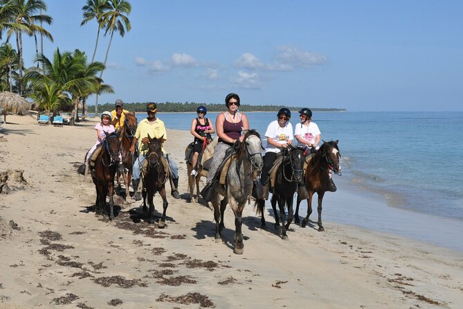 Horseback Riding Tour on the Beaches of Punta Cana - Meeting horses such as Rubio and Rubia